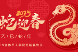 辭舊迎新，蛇舞華章丨深圳容金科技全體員工祝您新春快樂！
